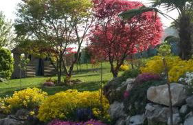 Casa Betulla - Foto 3