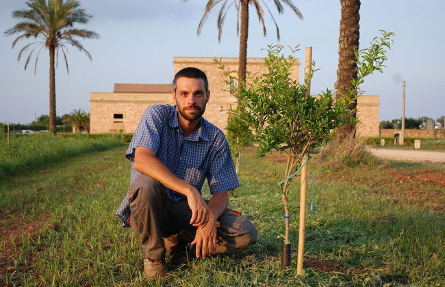 Agriturismo Masseria Galatea - Photo 9