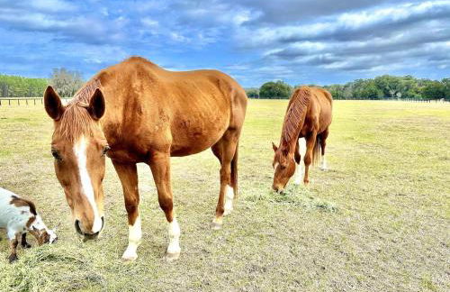 Couples Cottage - Serene Getaway - Foto 72