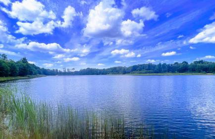 Nad Kamieniem - domki całoroczne - Foto 20