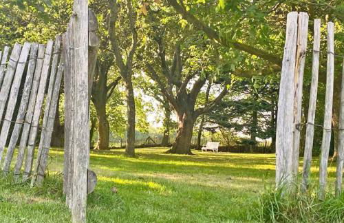 Lille Skov - Foto 18