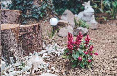 Villa-Apartments Bognar - Photo 45