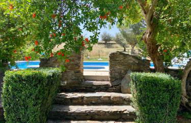 Quinta Alfaval - Foto 70