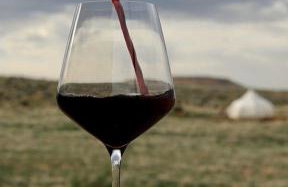 Cozy Glamping Pod for a Nature Escape in Monticello, Utah - Foto 13