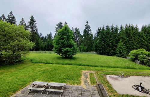 Thuringian Forest House - Foto 25