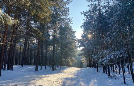 Piaskowa 13 - Apartamenty dla Podróżujących bez Dzieci - Foto 30