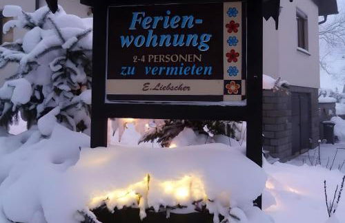 Gemütliche Ferienwohnung in Holzhau - Foto 19