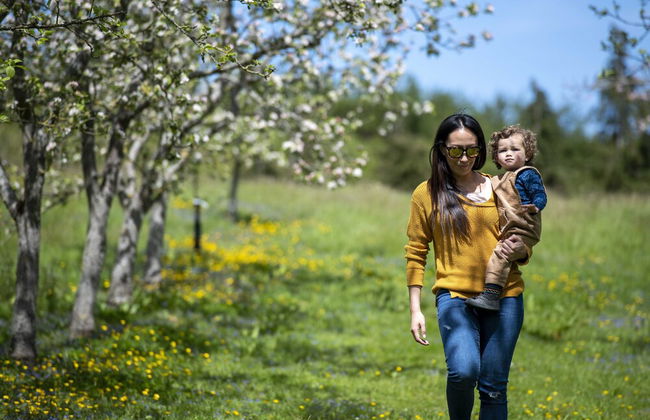 Torre Cider Farm - Foto 58