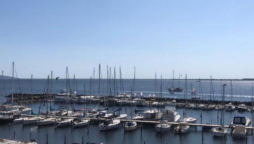 un endroit de rêve - Foto 1