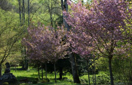 Maison de charme - 4 étoiles - Moulin de la serrée - Foto 26