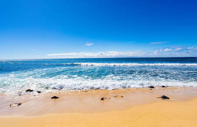 Paniolo Hale - Foto 25