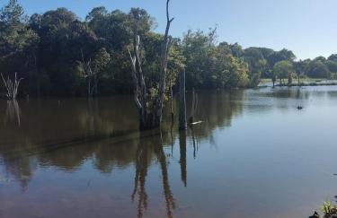 Cabana Gehrke - Foto 29