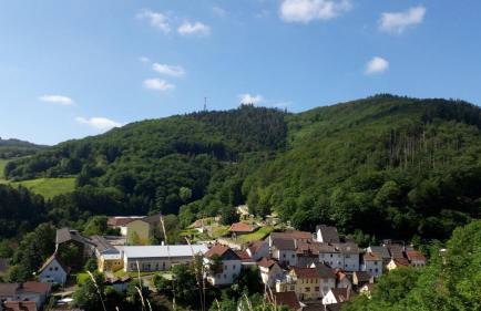 tiny house Pfalz Wellness und Wanderurlaub - Foto 43