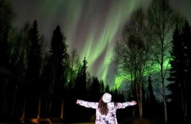 Northern Lights Log House w/ Sauna - Foto 74