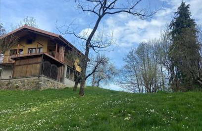 Il nocciòlo di Daisy - Foto 1