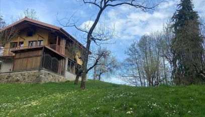 Il nocciòlo di Daisy - Foto 1