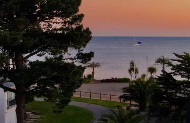 Le STUDIO "LA PLAGE" 3 ETOILES face à la mer - Foto 1