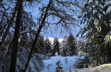 Appartamento immerso nel verde - Foto 19