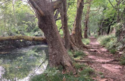 Casa de l'hort - Els Valentins - Foto 22