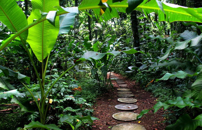 Casa Cerise - Foto 59