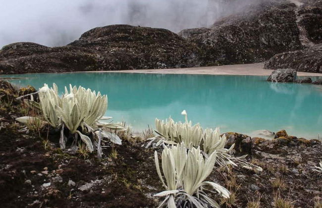 Nevado del Huila 5-day Hiking Tour - Photo 7