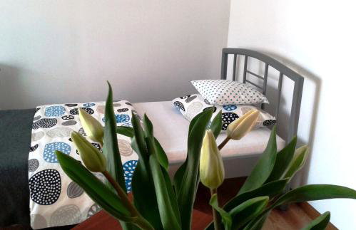 Zielone Zacisze - Foto 42