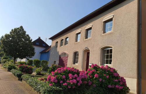 Ferienwohnung Kirschenknupp - Foto 3