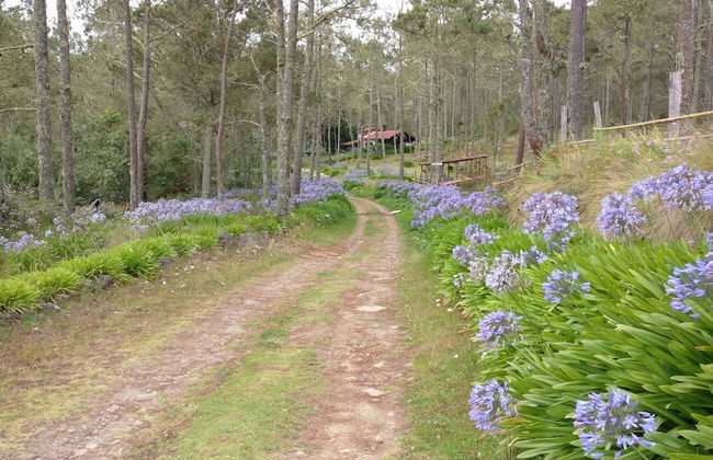 Villa Pajon Eco Lodge - Foto 47