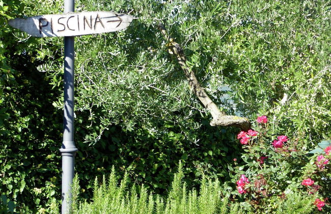 Holiday Home in Montecarelli With Pool - Foto 16