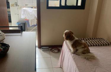 Apartamento Enseada Azul - Foto 36