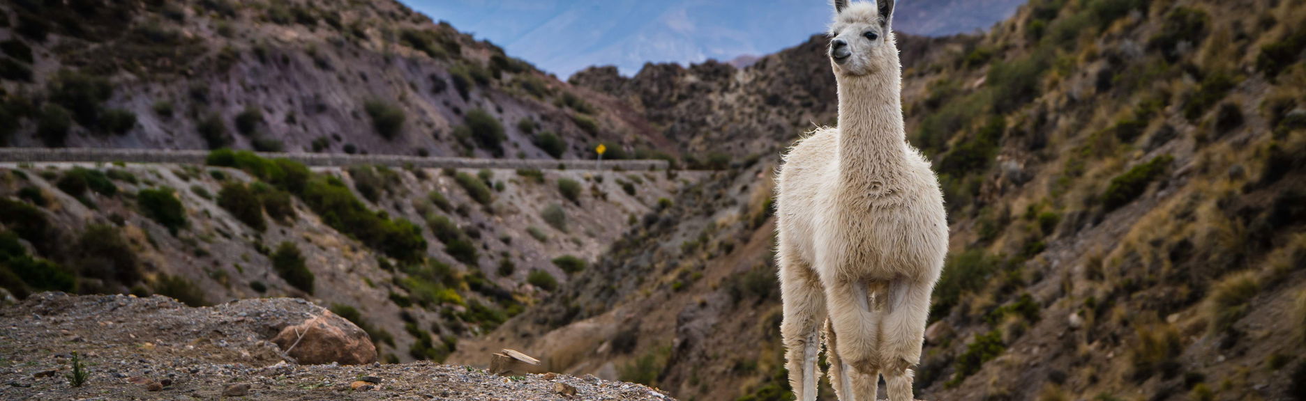 General Lagos Villages Tour