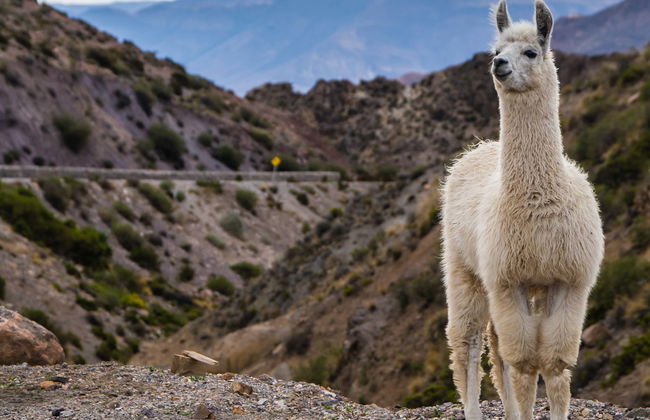 General Lagos Villages Tour - Photo 1
