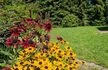 Ferienhuus Bossel - Foto 7