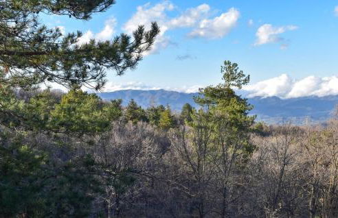 casa la volpe - Photo 12