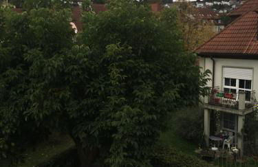 Gartenblick Zell am Main - Foto 16