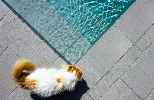 Casa Dubi. Kvarner - Foto 40