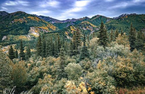 Northern Lights Log House w/ Sauna - Foto 71