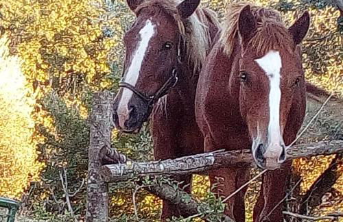 la masseria di Antonio e Teresina - Foto 54