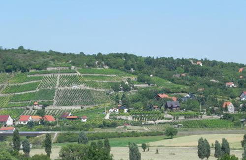 Ferienwohnungen am Unstrutwehr - Foto 18
