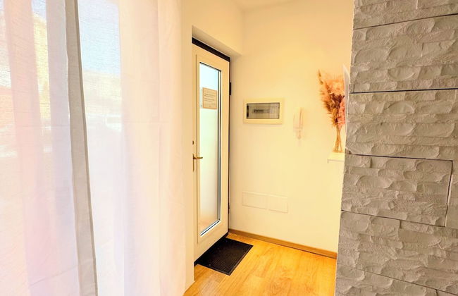 Cleo mimosa - Foto 20