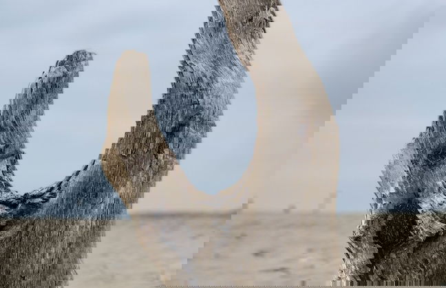 Sea View Apartment in Barmouth - Photo 14