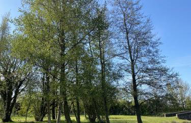 Heywood Glamping - Foto 17