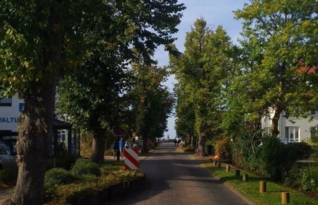 Schatje in het Huis Pamir - Foto 21