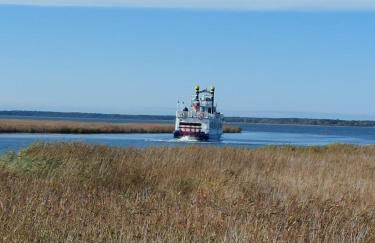 Tor zum Darss - Foto 25