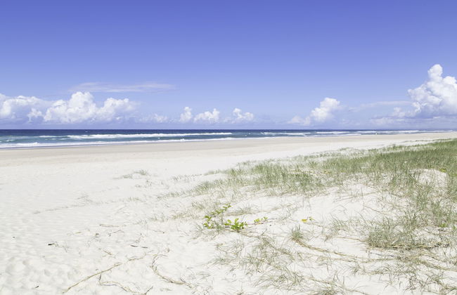 Clothiers Creek Farm - Photo 32