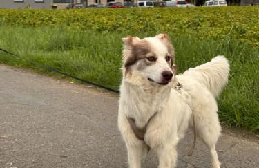 Heiderast Wipperau - Foto 32