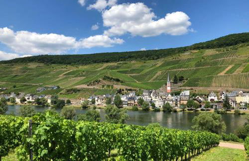 Ferienwohnungen Merl - Foto 9