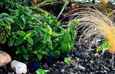 Finikas Cave House - Photo 22