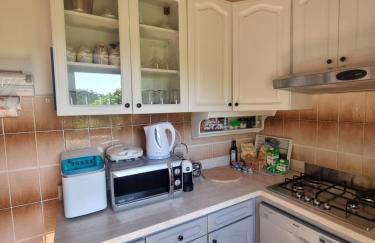 Apartmani Milenko Lubenice - Foto 20