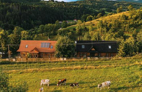 Góralskie domy w Łostówce - Foto 11